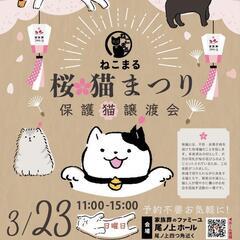 🌸🐈ねこまる😺保護猫譲渡会🐈‍⬛🌸ファミーユ尾ノ上ホール