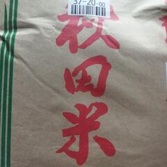 令和6年あきたこまち
