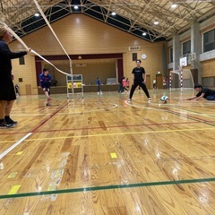 バレーボールしたい方！
