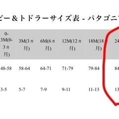 ベビー　パタゴニア　フリースの画像