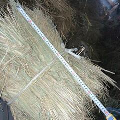 無農薬栽培米のわら　天日干しの画像