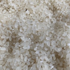 決まりました R6年度産 お米 30キロ 玄米