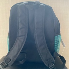 【新品タグ付き】ポケットホンスター　プラチナム雑貨サイドメッシュリュック　テラパゴス　の画像