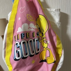 大きめバックの画像