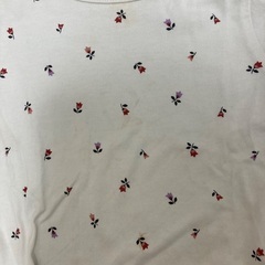 80〜90 薄手　ロングTシャツの画像