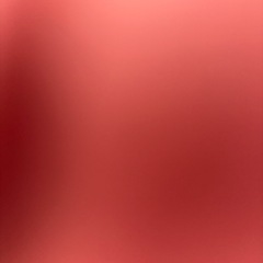 犬用ワイドトイレトレー 