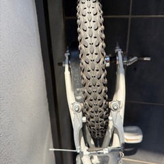 ルイガノ　16インチ　補助輪　子供自転車の画像