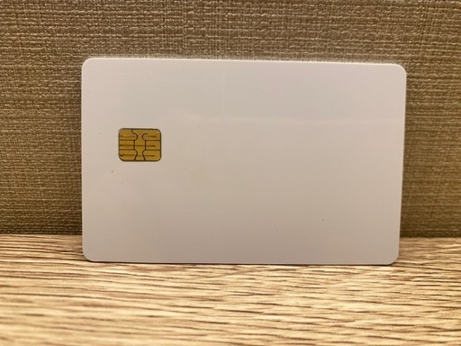 エストラボ　estbeaute ICカード　無限カード　ショット回数制限なし脱毛