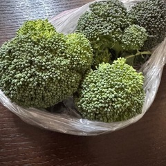 ①野菜　ブロッコリー　小房　4〜5個　150g位　　100円