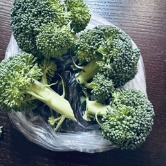 ①野菜　ブロッコリー　小房　4〜5個　150g位　　100円の画像