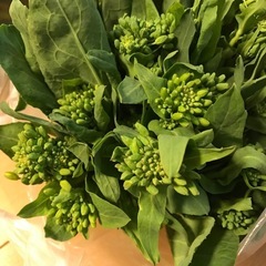 ①野菜　菜の花　春野菜　太め　パスタ　おひたし　スープ　