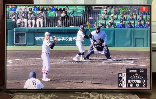 【美品中古】Panasonic VIERA TH-L42E60 壁掛け。