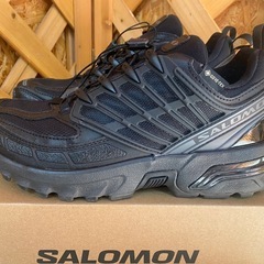 【愛品館江戸川店】サロモン SALOMON PRO GTXスニーカー475994 SIZE:25CM 美品 ID:107-051185-007の画像