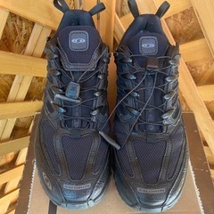 【愛品館江戸川店】サロモン SALOMON PRO GTXスニー...