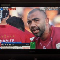 テレビの画像