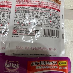 猫　パウチ　の画像