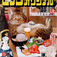 ビッグコミックオリジナル第6号