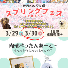 犬好きさんのためのイベント『名犬牧場スプリングフェス-2025-』