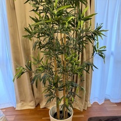 　引き取り決まりました、多数問い合わせいただきお返事できずすみま...