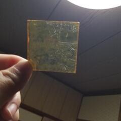 ブラックゼウスの画像