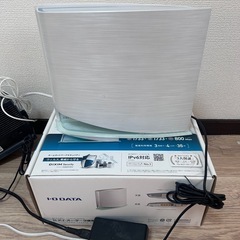 wife トライバンド