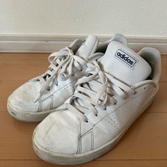 adidas スニーカー