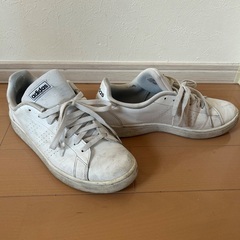 adidas スニーカーの画像
