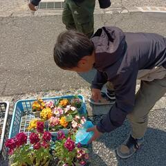 🌈🍀わいわい市のメダカ屋さんの社会貢献活動のご報告＆イベン…