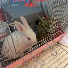 動物好き集まろう🐱 - 友達