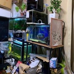 動物好き集まろう🐱 - メンバー募集