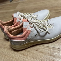 ゴルフシューズ   レディース24.5の画像