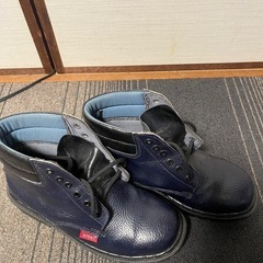 靴　26.5サイズ　5回しか使えないの画像