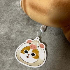モフサンドの画像