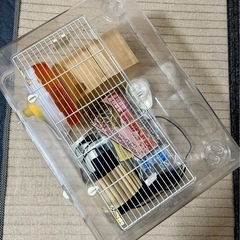 小動物ペット飼育セット