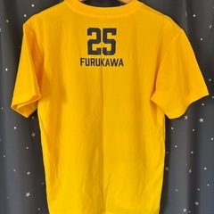 栃木ブレックス_Tシャツ_Mサイズの画像