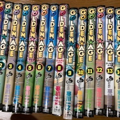 ゴールデンエイジ・1〜15巻セットの画像