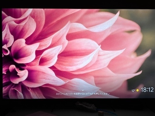 TCL 65型液晶テレビ