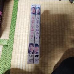 日差しに向かって