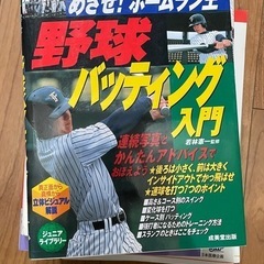 野球　バッティング　本