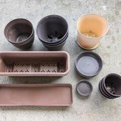 プランター(丸、長方形)千年木、グレープフルーツ苗木