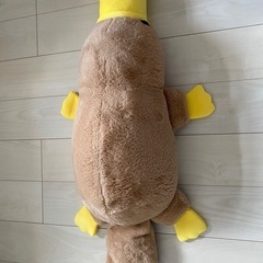 新品　巨大カモノハシ ぬいぐるみ の画像
