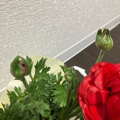 お取引き中⭐︎お花 の画像