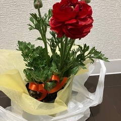 お取引き中⭐︎お花 の画像