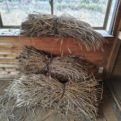 木の棒、藁の画像