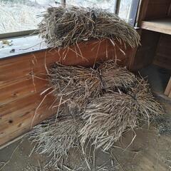 木の棒、藁の画像