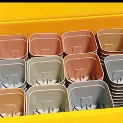 🍀プレステラ セット  111個