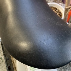 ジョーバ　乗馬　フィットネスの画像