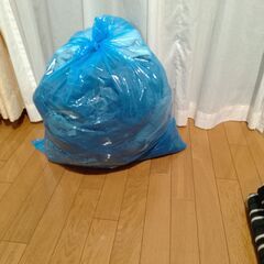 レディース メンズ 45L 断捨離の画像