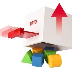 BRIO 形合わせボックスの画像