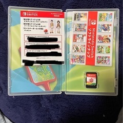 Switch、ポケモンカセットの画像